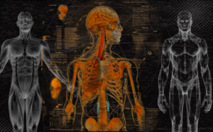 MATERIAL EDUCATIVO GRATUITO